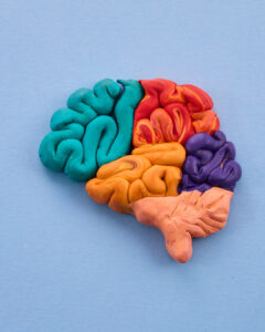 colorful brain made out of playdoh