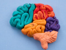 colorful brain made out of playdoh