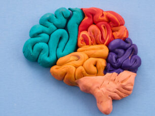 colorful brain made out of playdoh