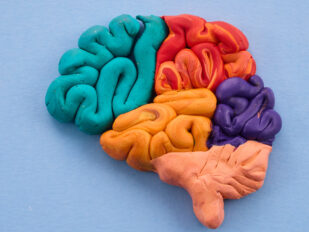 colorful brain made out of playdoh