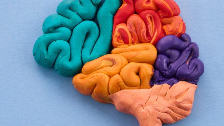 colorful brain made out of playdoh